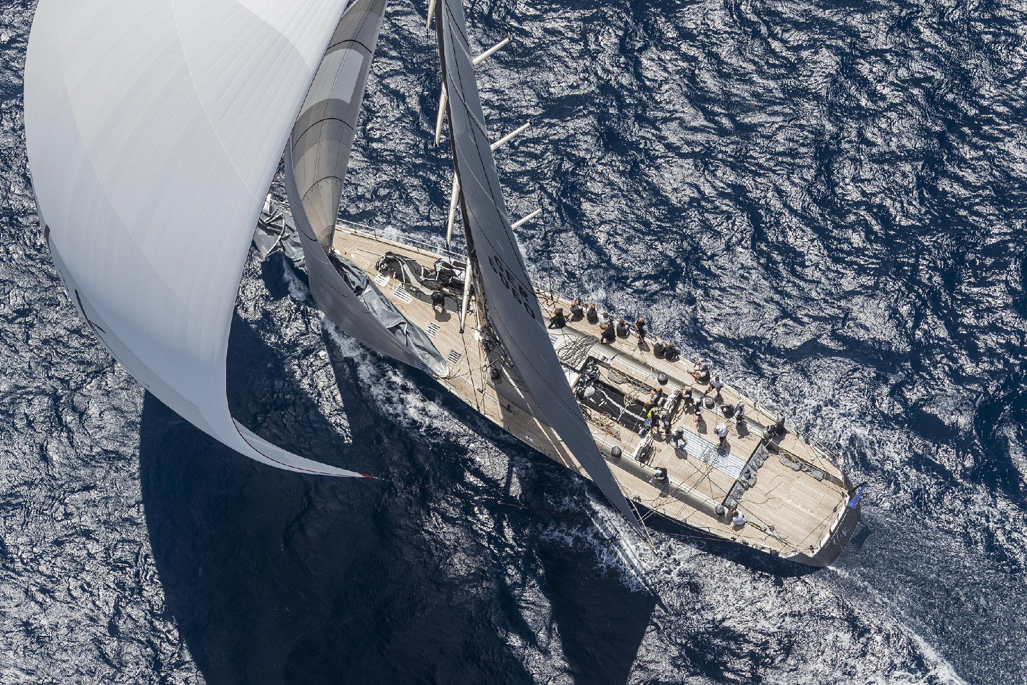 wally sailing yacht for sale